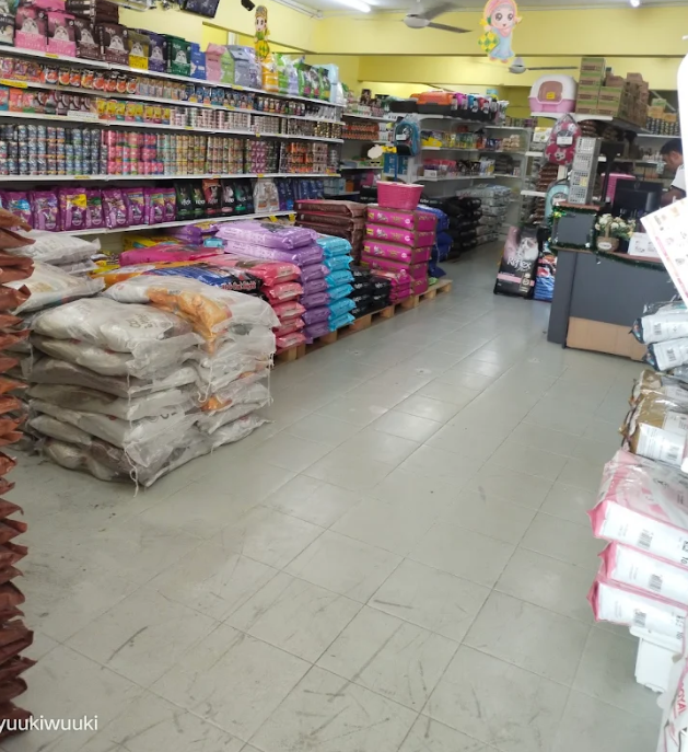 gelugor dlm