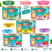 kucinta 150g home page kucinta 150g home page
