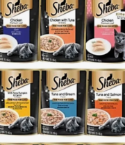 image sheba